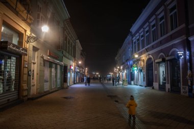 BELGRAD, SERBIA - 12 Ekim 2024: Novi Sad, Sırbistan 'ın Novi Sad kentinde Dunavska Ulica, Sırbistan' ın ikinci büyük kenti ve Voyvodina 'nın ana şehri olan Novi Sad' da gece sisinde kaplandı.