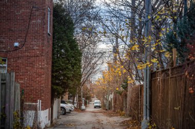 Sonbaharda Montreal 'de harap olmuş bir yerleşim yeri, yağmurlu bir günde Kuzey Amerika kentsel alanlarının kırsal cazibesini sergiliyor. Sessiz ve tarihi bir mahalle..