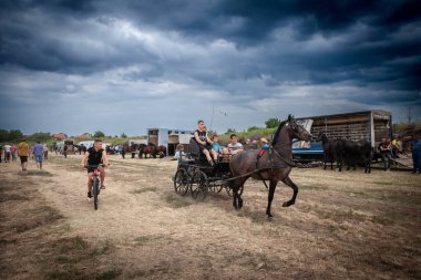 Rumska Straparijada pazarında Whit atlarıyla ateş püsküren adamların resmi, bagajı çekmeye hazır bir atla. Bu görüntü, Rumska Straparijada 'da, atların çektiği bir posta arabasını süren iki arabacıya odaklanmış bir sahneyi çekiyor. Olay.