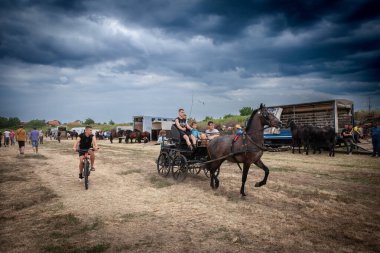 Picture of men driving a fiacre with whit horses in the Rumska Straparijada market, with a horse ready to pull a trunk. This image captures a scene at the Rumska Straparijada, focusing on two coachmen steering a stagecoach pulled by horses. The event clipart