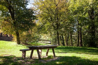 Sakin bir orman açıklığında, basit bir ahşap bank ve masa değişen sonbahar renklerinin ortasında duruyor. Burada, gezginler sessiz bir piknikte oyalanabilir ya da hışırdayan yaprakların altında düşünebilirler. Güneş ışığı ve gölgenin nazik etkileşimi sakin bir anı yakalar.