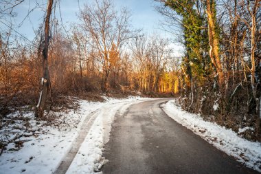 Sırbistan 'da kış aylarında, soğuk ağaçlar ve parlayan güneş ışığıyla çerçevelenmiş ve kırsal manzaraların güzelliğini ön plana çıkaran karlı bir kırsal yol.