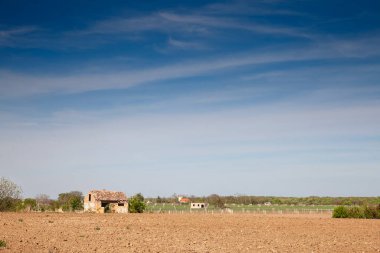 Berkasovo, Voyvodina 'da yeni sürülmüş tarım arazisinin geniş bir manzarası, Fruska Gora' nın güçlü tarım geleneklerinin altını çiziyor. Zengin toprak & çiftlik yapıları bu kırsal manzarayı tanımlar