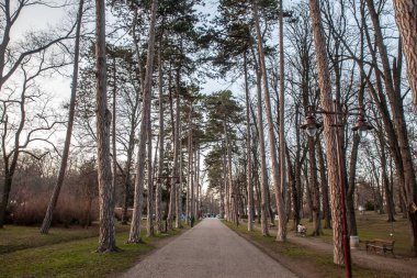 ARANDJELOVAC, SERBIA - 28 Ocak 2024: Sırbistan 'ın Arandjelovac kentindeki Bukovicke Banje Parkı' nın alacakaranlık manzarası.