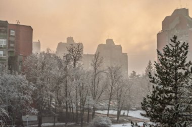 Banjica, Belgrad, Sırbistan 'da kış mevsiminde yer alan ve tipik Doğu Avrupa kentsel kış manzarasını gösteren karla kaplı ağaçlar ve komünist dönemden kalma konut binaları.