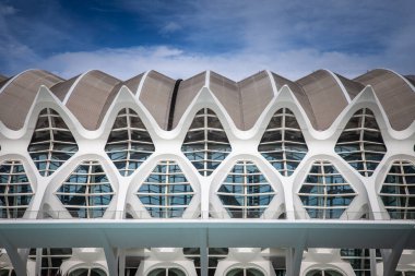 VALENCIA, İspanya - 13 Ekim 2024: Valencia Sanat ve Bilim Şehri 'nin (Ciudad de las Artes y las Ciencias) bir parçası olan Museo de las Ciencias Principe Felipe' nin mimari detayları.