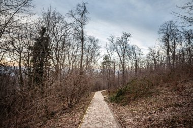 Sırbistan 'ın başkenti Belgrad yakınlarındaki Avala dağının sakin atmosferini yakalayarak, sonbaharın sonlarında yapraksız bir ormanın içinden geçen taştan döşenmiş dolambaçlı yol.