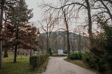 ARANDJELOVAC, SERBIA - 23 Ocak 2025: Sırbistan 'ın Arandjelovac kentinde Bukovicke Banje Parkı, ağaçlar, banklar ve manzaralı doğa ile çevrili sakin bir yol gösteriyor. Arandelovac 'ın ana parkı.