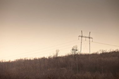 Sırbistan 'da bir ormandan geçen aktarma kuleleri ve elektrik hatları, ülkenin elektrik dağıtım altyapısını temsil ediyor.