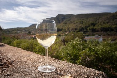 Buzlu İspanyol beyaz şarabı, güneşli Akdeniz tepelerine ve teraslı üzüm bağlarına tepeden bakan taştan bir çıkıntının üzerinde duruyor. İspanya çok şarap ihraç ediyor.