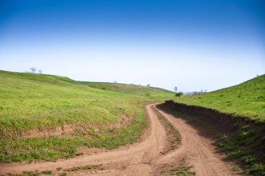 Titelski Breg, Voyvodina, Sırbistan 'daki parlak bahar otlarının arasından geçen dolambaçlı bir toprak yol, temiz bir kırsal bölgede, eğimli bir gökyüzünün altındaki yuvarlanan yeşil tepelerde göze rehberlik ediyor..