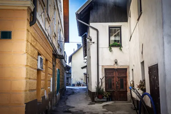 Skofja Loka 'nın eski çeyreğindeki sessiz ara sokakta, oyulmuş ahşap bir kapı ve saksı bitkileri Slovenya' nın tarihi konutları ve dar geçitleri arasında günlük yaşamı yakalıyorlar..