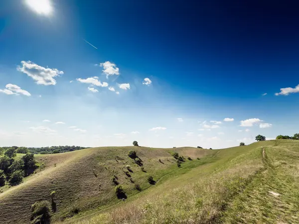 Banat, Voyvodina, Sırbistan 'daki güneşli Zagajicka Brda tepelerinin geniş manzarası ve derin mavi gökyüzünün altındaki çimenli bozkırlar, uzak yürüyüş yolları, koruma altındaki doğanın dalgalanan sırtlarının izleri..