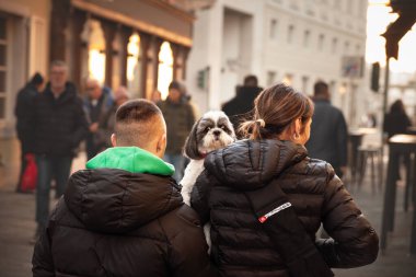 TRIESTE, İTALYA 17 ARALIK 2024: Akşam alışverişçileri Trieste 'nin merkezinde yaya caddesinde arkalarında belirsizleşirken birkaç kişi tarafından taşınan bir Shih Tzu kameraya doğru dönüyor..