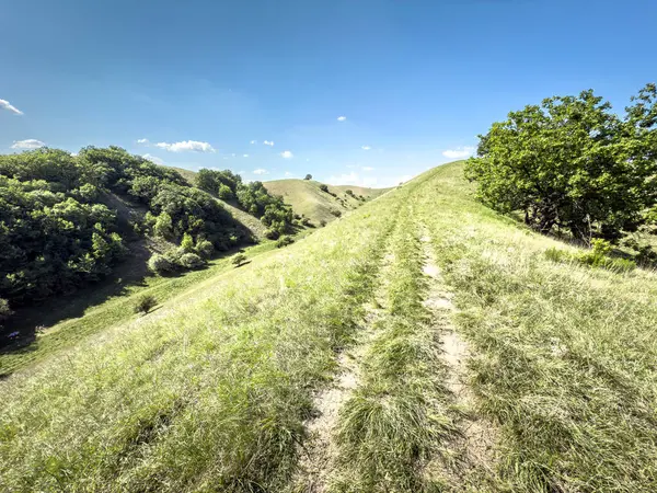 Sırbistan 'ın Voyvodina kentindeki Deliblato Kum rezervindeki Zagajicka brda tepesinin tepesinde, ağaçlık vadiler ve açık mavi bir gökyüzünün altındaki açık çayır bulunuyor..
