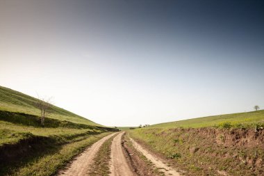 Sırbistan 'ın Voyvodina kentindeki Titelski Breg kentindeki yeşil tepeler arasında uzanan asfaltsız toprak yol, geniş bir gökyüzünün altında sakin kırsal manzarayı ve uzak kırsal karayolunu yakalıyor..
