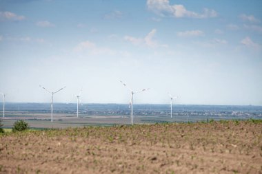 Sırbistan 'ın Voyvodina kentinde sürülen geniş tarlalar, açık mavi gökyüzünün altında, geleneksel tarım ve temiz enerji buluşmasını simgeleyen bir dizi rüzgar türbinine doğru uzanıyor..