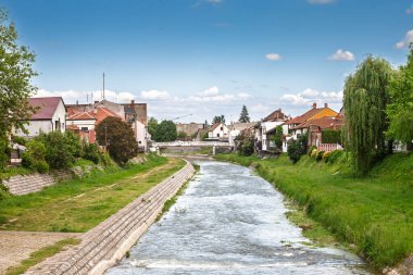 Kolubara Nehri, alçak köprüler ve kırmızı kiremitli evlerle, parlak bir bahar gökyüzünün altındaki çimenli setleri kaplayarak, su üzerindeki küçük kasaba yaşamını yakalıyor..