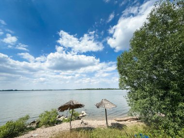 Sırbistan 'ın Kovin kenti yakınlarındaki Tuna Nehri' nde sessiz çakıl taşı plajı, iki kamış şemsiyesi, yeşil nehir kenarı bitki örtüsü ve beyaz kümülüs bulutlarıyla dolu engin yaz gökyüzü..