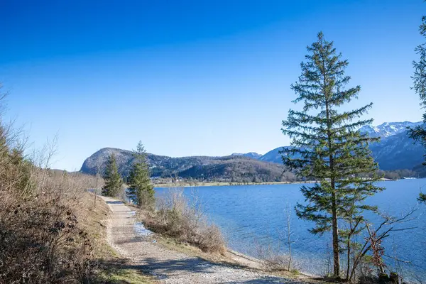 Slovenya 'daki Bohinjsko Gölü' nün (Bohinjsko Jezero) el değmemiş mavi sularında, yapraksız çalılar, daima yeşil çamlar ve Julian Alpleri ile çevrili çakıl yolu bulunur..