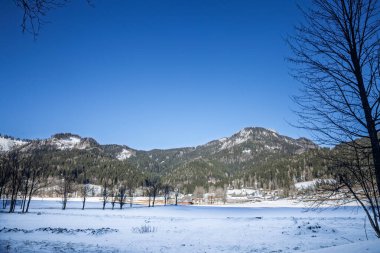 Geniş bir kış manzarası, Slovenya 'nın kuzeyindeki Julian Alpleri' nin ormanlı sırtlarının altında, çıplak ağaçlar ve mavi bir gökyüzü tarafından çerçevelenmiş Zgornje Jezersko 'nun karla kaplı tarlalarını ve kümelenmiş evlerini gösteriyor.