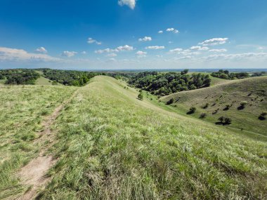 Voyvodina 'daki Zagajicka brda' daki çimenli tepelerin geniş manzarası. Yuvarlanan Loess tepeleri ve soluk bir patika bu kendine özgü manzara boyunca parlak bir gökyüzü altında ormanlara doğru uzanır..