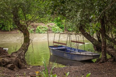 Sırbistan 'ın Jabuka kentindeki Tamis Nehri' nde demirli küçük metal tekne, söğütleri aşarak sığ sularda dinleniyor. Sakin yeşil yansımalar ve nehir kenarında bir körfez sakin bir kırsal bölge manzarası ve yerel ulaşım.