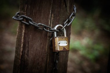 Yıpranmış asma kilit ve ahşap bir direğe dolanmış zincirin seçici odak makrosu. Paslanma, püre, çizikler mahremiyet ve güvenliğin altını çizer. Yumuşak bokeh, deneği karanlık bir arkaplandan ayırır..