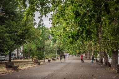 BELGRAD, SERBIA - 26 Temmuz 2025: Yayalar Belgrad 'ın Zemun kentindeki Tuna Nehri' nde, ağaç sıralı Zemunski keji üzerinde geziniyorlar. Banklar ve sokak lambaları, aile ve yerel halkın kullandığı nehir kenarındaki bir geçidi çerçeveliyor..