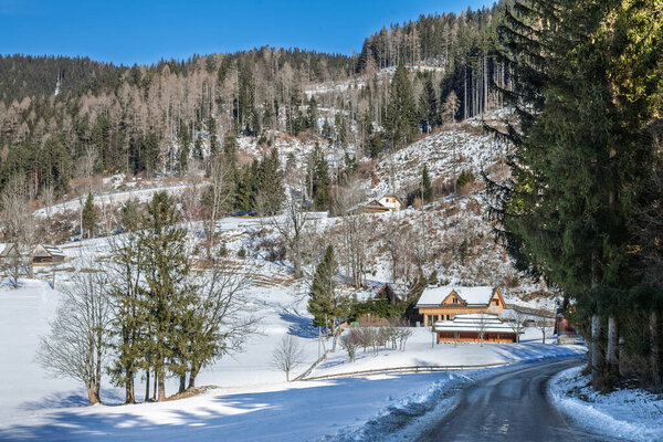 Заснеженные шале и фермерские дома расположены вдоль извилистой дороги в словенской альпийской долине. Деревянная архитектура, яркие крыши, и хвойные стенды горного жилья, зимний отдых, потенциал собственности.
