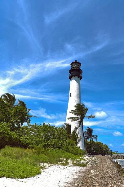 Ein Leuchtturm Florida Steht Ufer Umgeben Von Grünen Palmen Und — Stockfoto
