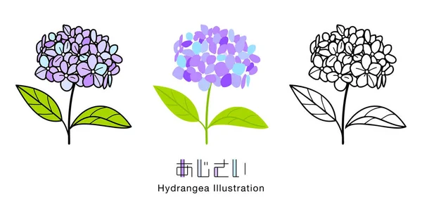 Hydrangea flowers and leaves, Japanese lettering design. vector icon set illustration material