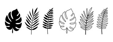 Tropikal bitkiler, süs bitkisi yaprakları çizim seti - canavar, palmiye ve eğreltiotu vektör siluet simgeleri şeffaf arkaplan üzerinde