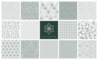 Basit çiçeksiz desenler dizisi. Geometrik, Siluet veya Dekoratif Çiçekler ve Bitkiler koleksiyonu. Tam Vektör Büyük Çizimli Resimler Kümesi