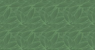 Vector green tropical background with palm leaves for decor, covers, backgrounds, wallpapers