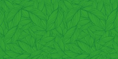 Vector green tropical background with palm leaves for decor, covers, backgrounds, wallpapers