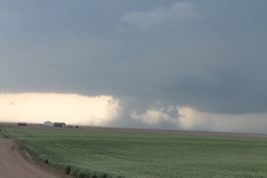 Büyük düzlüklerin açık çayırlarında şiddetli bir hortum çalkalanıyor..