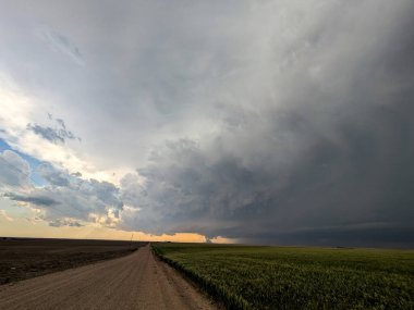 Doğu Colorado kırsalındaki bir süper hücre fırtınasının altında bir kasırga gelişiyor..