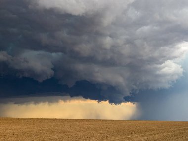 Açık çayırda bir kasırga oluşuyor..