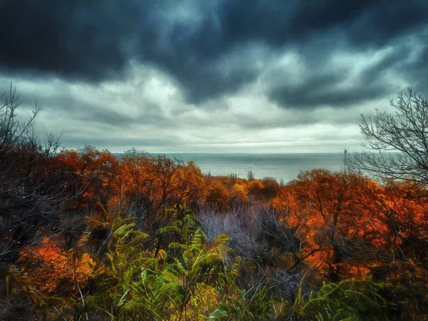 Осенние Деревья Фоне Океана Впечатляющее Небо Облаками Иллюстрация — стоковое фото