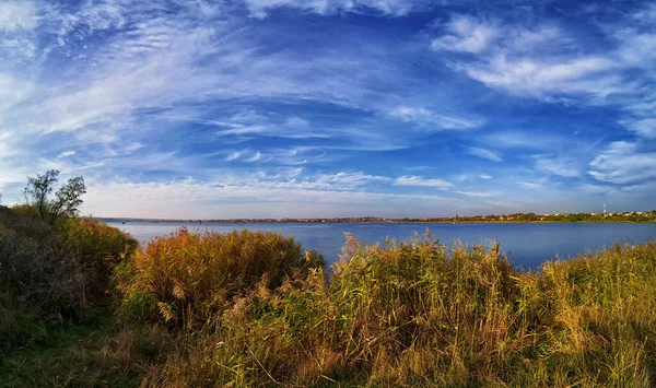 Rive Lac Avec Roseaux Ciel Bleu Nuages Blancs Panorama — Photo
