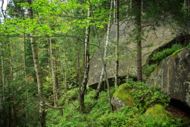 Big stones, rocks in the forest, on the mountain slopes, among the trees