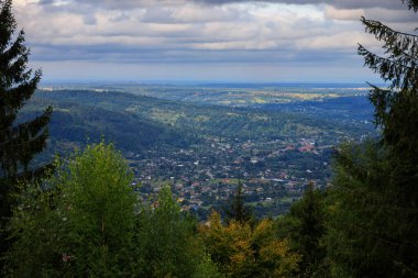 A small town in a valley between mountains, against the background of pine trees and Christmas trees