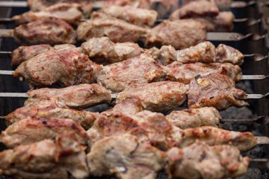 fried pork kebab on skewers, on the grill. shallow depth of field