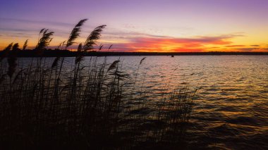 Beautiful sunset on the bank of the river, with reeds in the foreground