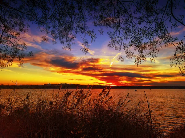 Захід Сонця Річці Гілки Дерев Небо Різнокольоровими Хмарами — стокове фото