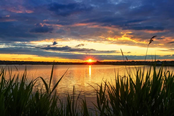 Vacker Soluppgång Sjön Med Gräs Förgrunden Solen Form Stjärna Med — Stockfoto