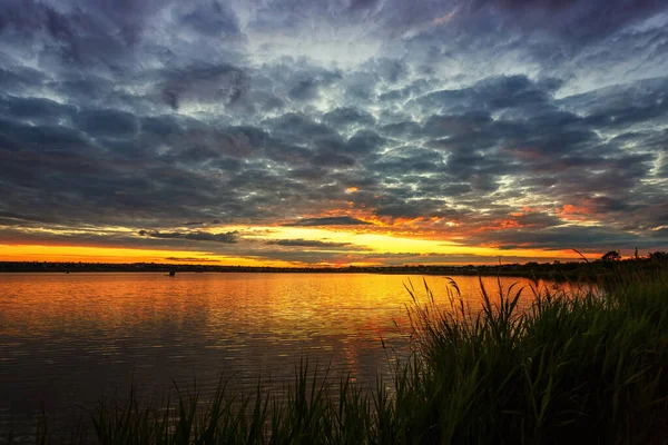 Beautiful Sunset River Grass Foreground — Stock Photo, Image