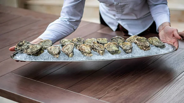 A plate with oysters and ice, in the hands of a waiter