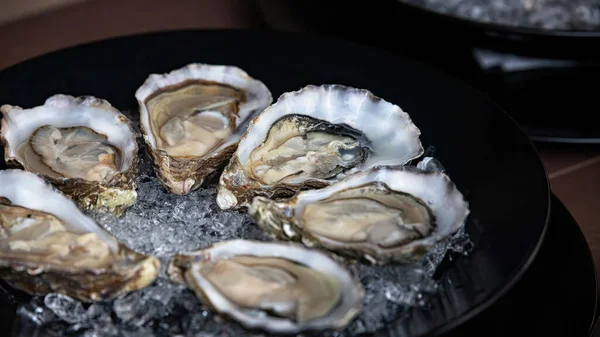 Open oysters on a plate with ice and lemon. Blurred background